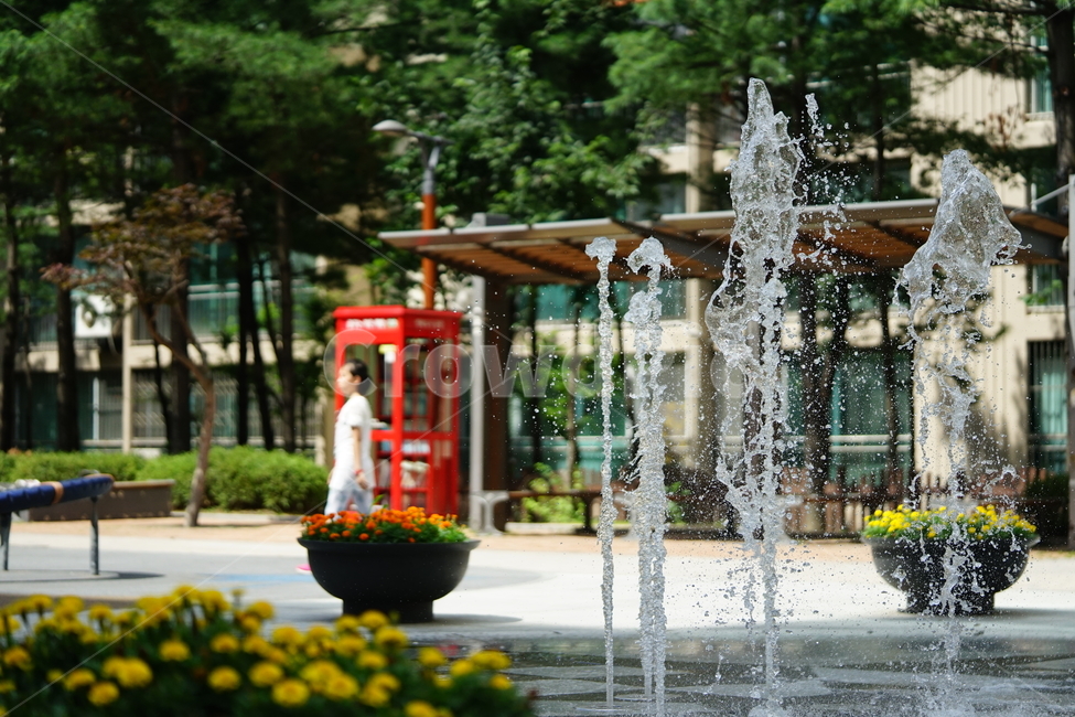 분수,물,물줄기,여름,계절,water,순간,순간포착,더위,summer,여름,계절,summer,season