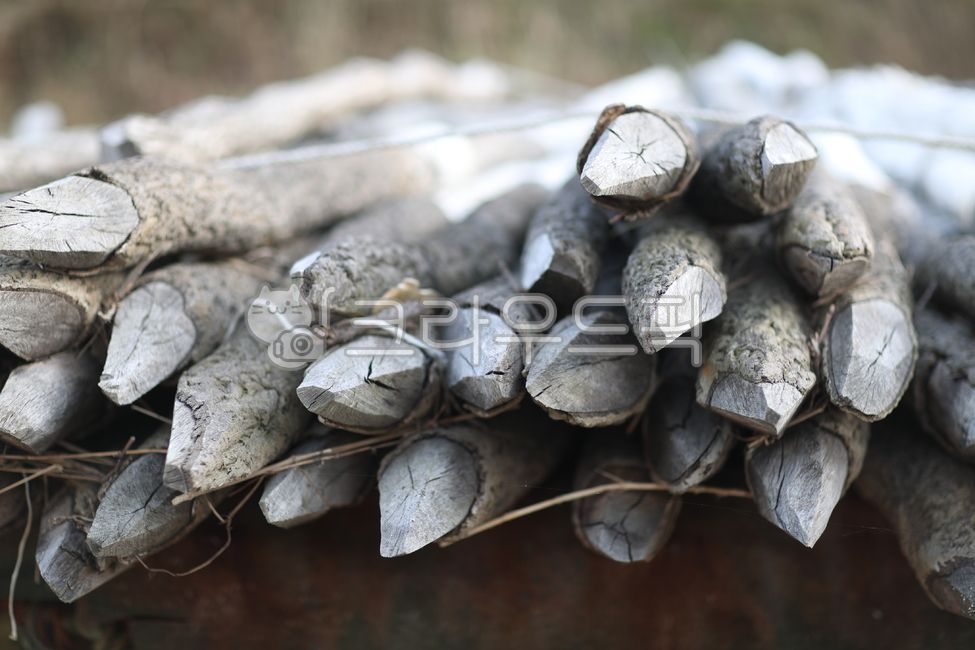 나무,장작,말뚝,어부장비,나무못