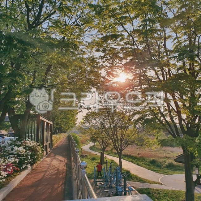 산책로,여름산책,여름산책로,산책로노을,산책로일몰,전주산책로,시골산책로,동네산책