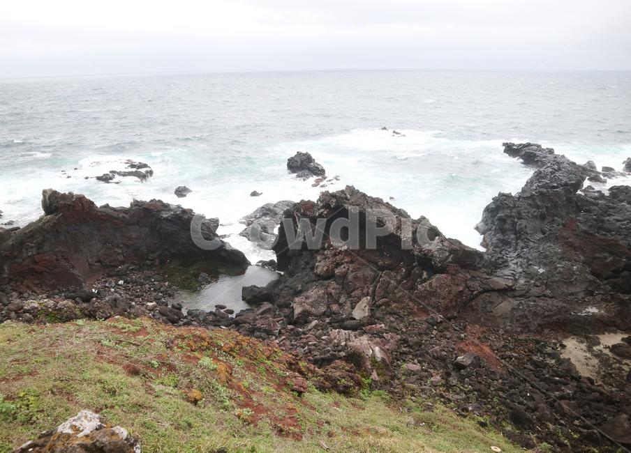 파도,바다,돌,들,자연,제주,제주도,자연,풍경,nature,landscape