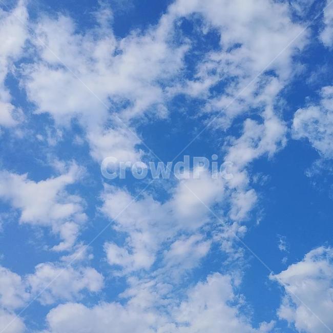 하늘,구름,날씨,맑음,청량,파랑,환기,여름,여름하늘