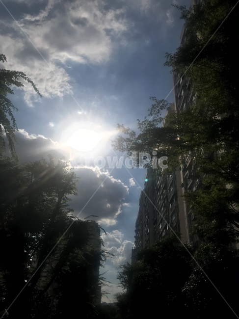 하늘,구름,빛,따뜻한,풍경,도시,풍경,city,landscape,flare,플레어,light
