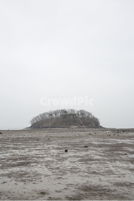 갯벌,바닷가,섬,썰물,해안,풍경,자연,풍경,nature,landscape,한국자연풍경,한국자연경관,korea nature landscape,grassland,목초지,outdoors,옥외,field,들