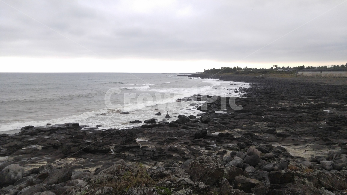 제주,제주도,해안,바다,바닷가,파도,풀,풀숲,grass,plant,잔디,식물,promontory,곶,자연,풍경,nature,landscape