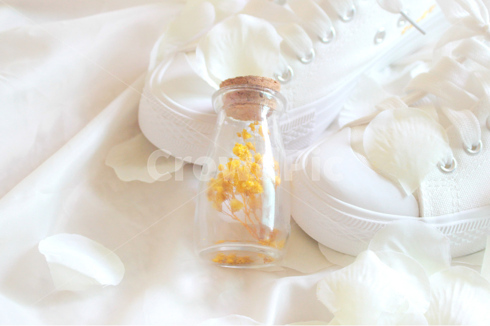 꽃,신발,흰색,색감,감성,분위기,꽃잎,flower,shouse,white,운동화,꽃,flower,패션스타일,의상,fashion,style,감성,sensible,feeling,색깔,색상,색채,색감,color sense,color sensitivity,feeling of color