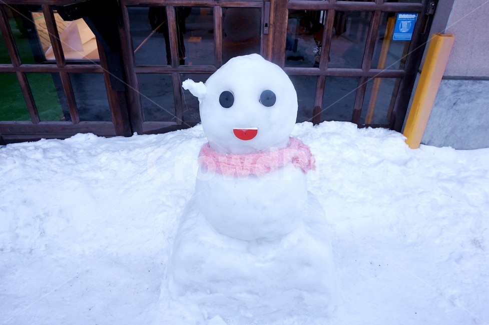 눈사람,눈,크리스마스,목도리,폭설,winter,snow,snowman,옥외,겨울,겨울,계절,winter,season