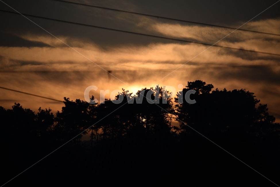 역광,backlight,숲,forest,겨울,자연,풍경,nature,landscape,outdoors,옥외