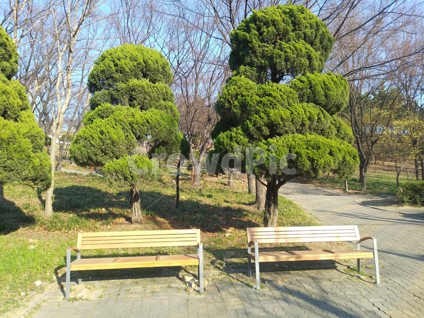 의자,공원,나무,식물,자연,휴식,풍경,힐링,낭만,사물,평안,nature,landscape,자연,풍경,nature,landscape,bench,벤치,tree,plant