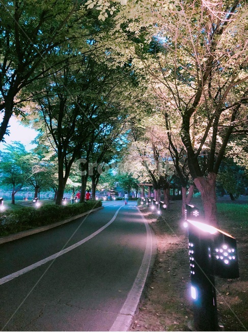공원,일상,산책,저녁,감성,자연,풍경,nature,landscape,asphalt,아스팔트