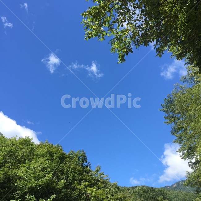 산,계곡,하늘,풍경,맑음,mountain,valley,sky,방학,휴가,vacation,여행,trip,sunny,nature,landscape,자연,풍경,nature,landscape,tree,나무,plant,식물
