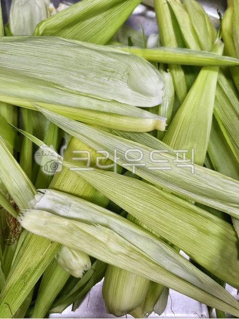 옥수수,옥수수껍질,분리배출,분리수거,음식쓰레기,채소껍질