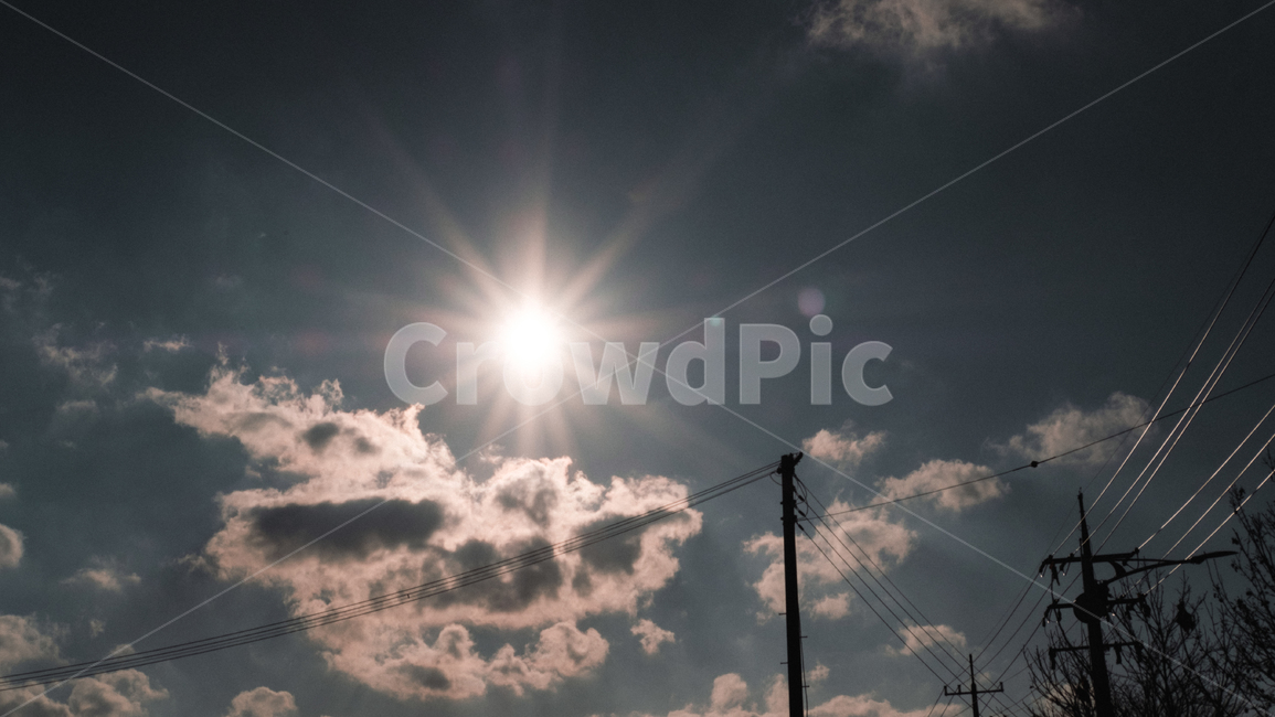 light,빛,flare,플레어,역광,빛갈라짐,자연,풍경,nature,landscape