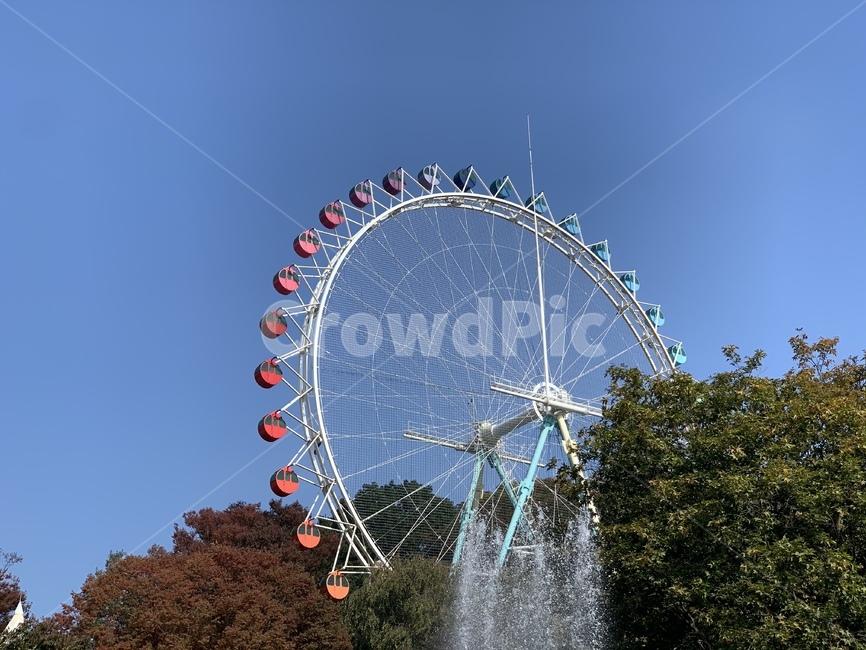 관람차,놀이공원,놀이동산,분수,공원,놀이공원,놀이동산,놀이터,amusement park,playground