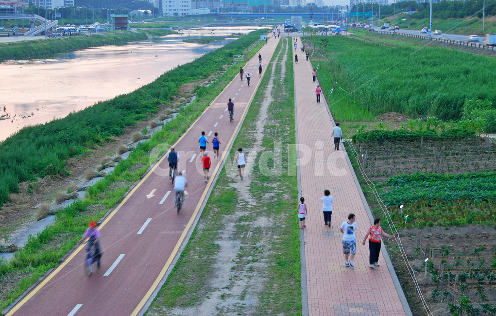 work out,bicycle,walking exercise,health exercise,running,trail,Highquality land,walking,wellbeing,sight,Jungnanggu,citizen,health,people,outdoor,seoul,korea,bicycle road,Jungnangcheon Stream,person,road name,river,walk