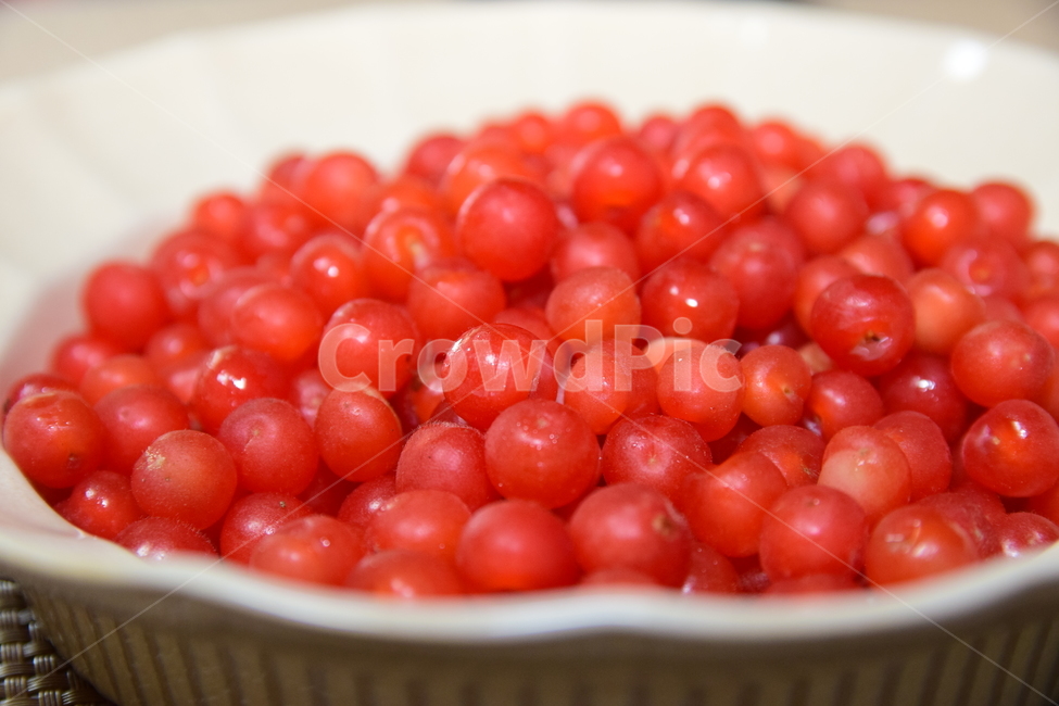 보리수,보리수열매,접시,빨간열매,열매,시콤달콤,fruits,redfruits,음식,식재료,요리,food,cook,meal,dishes,food reserves,과일,열매,fruit