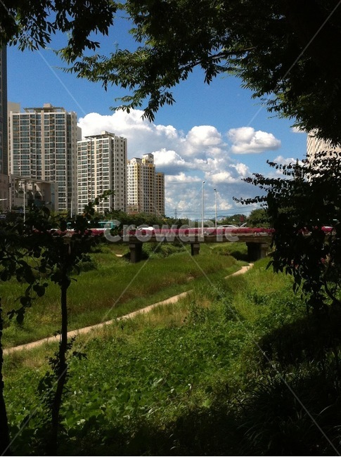 구름,초록,하남,강,다리,봄