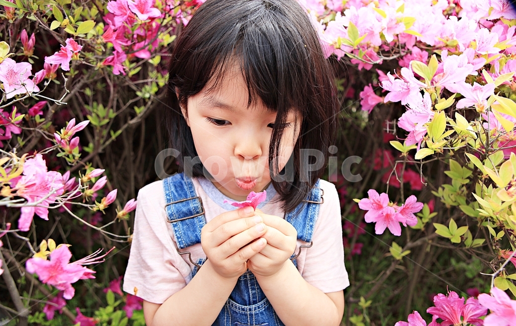 여자아이,아이,어린이,사람,자연,배경