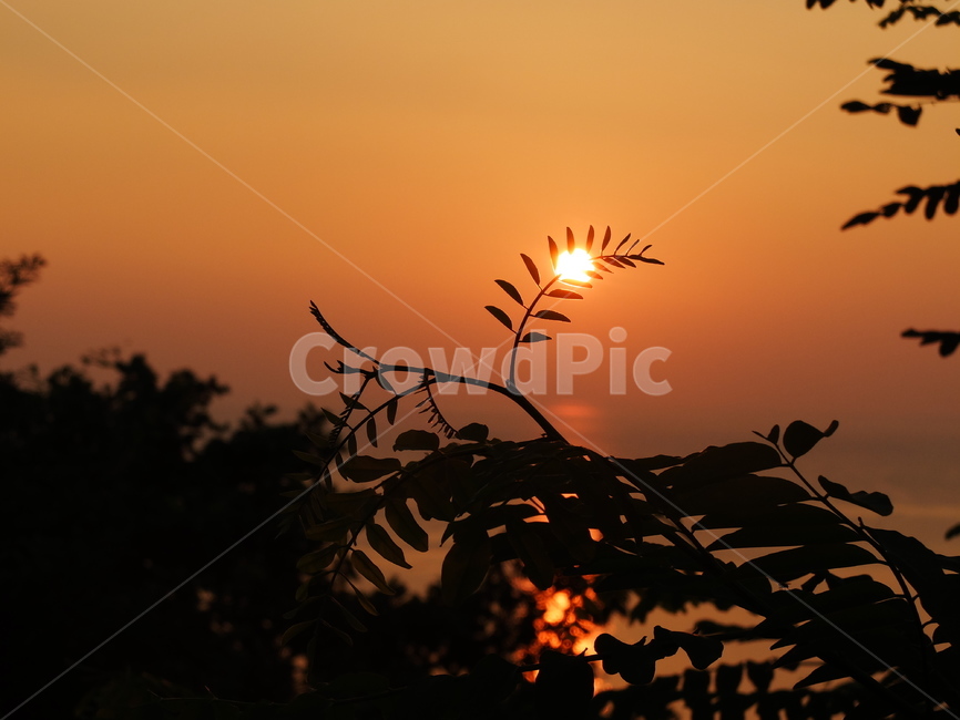 자연,일출,해돋이,해맞이,붉은하늘,자연,풍경,nature,landscape