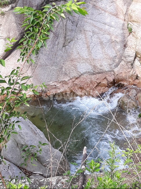 북한산계곡,냇가,야외,청정우,여름,자연,풍경,nature,landscape,outdoors,옥외,water,물