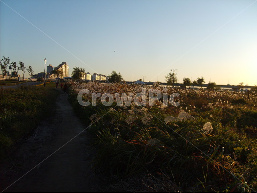 가을,산책,한강,휴식,자연,가을,계절,fall,autumn,season,도시,풍경,city,landscape,한국도시풍경,한국도시경관,korea cityscape,outdoors,옥외,flare,플레어,light,빛