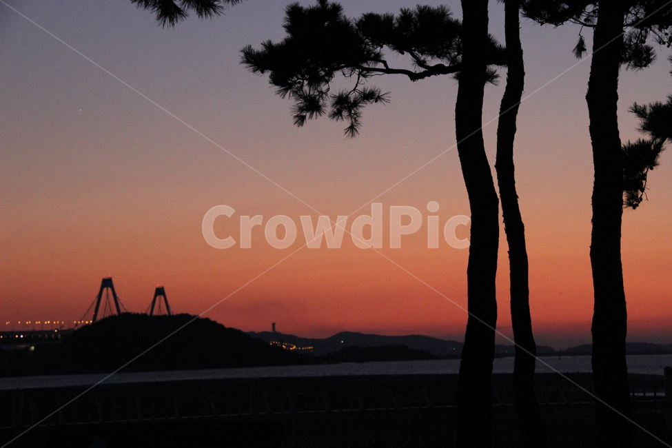 nature,자연,실루엣,노을,정서진,석양,silhouette,outdoors,옥외,소나무,영종대교,일몰,한국자연풍경,정서진해넘이,하늘,빨간하늘,서해일몰,붉은노을,감성,감성사진