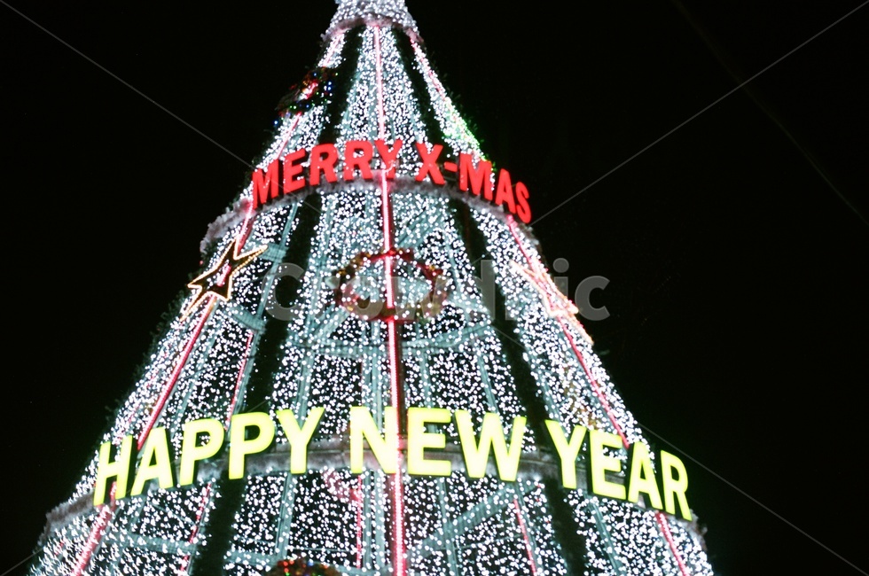 새해,야경,크리스마스,트리,소망,소원,밤,newyear,christmas,전구,야경,밤,풍경,nightscape,night,landscape,메리크리스마스,성탄절,merry christmas,tree,나무,plant,식물