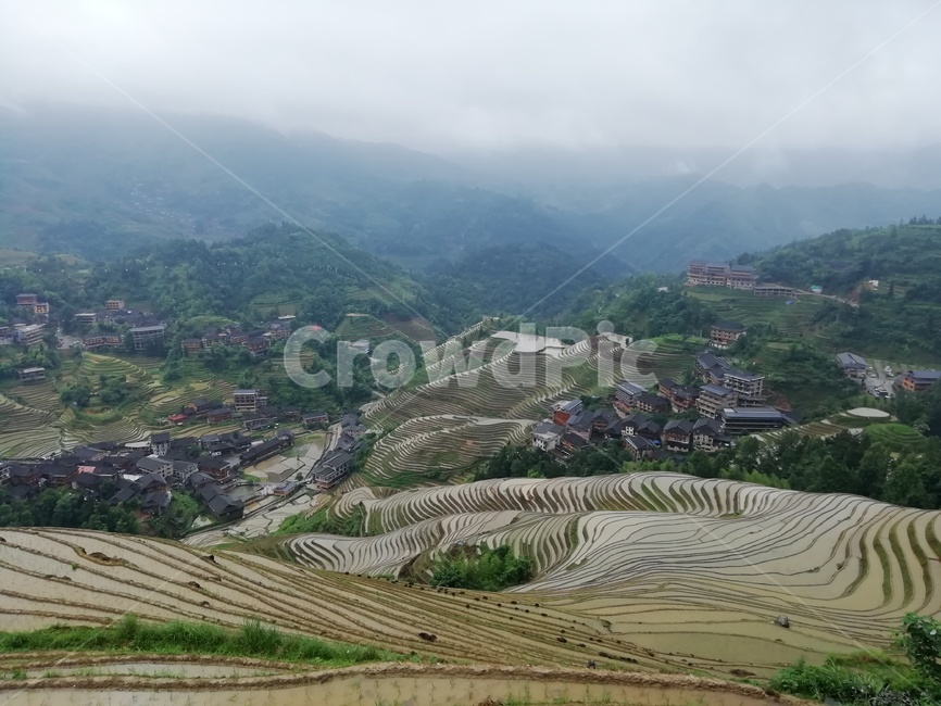다락논,라이스필드,금갱대채,금불정,계림,용적제전,다랭이논,자연,풍경,nature,landscape,농업,농사,agriculture,farming,farming industry,scenery,outdoors,옥외,경치