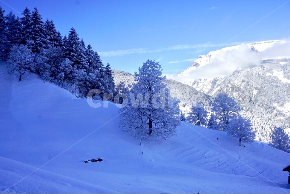 스위스,인터라켄,swiss,융프라우,jungfrau
