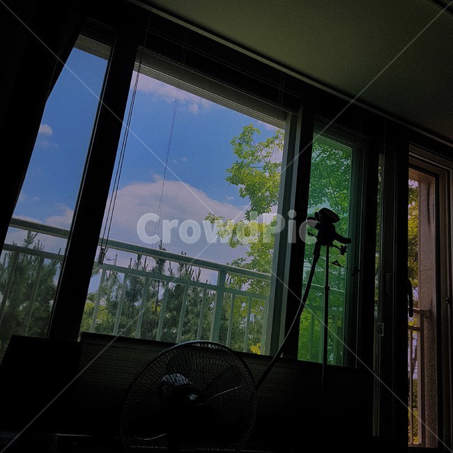 나무,풍경,구름,파란하늘,여름,맑은하늘,하늘,초록색,파란색,하얀색,sky,cloud,tree,녹색