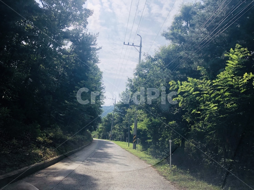 숲길,임도,하늘,구름,나무,산,전신주,도로,배경,녹음