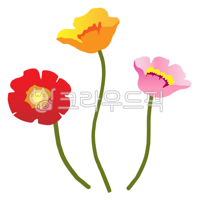 spring flowers,art,flower poppy,Flower clipart,poppyflower,season,poppy blossom,PG png,flower
