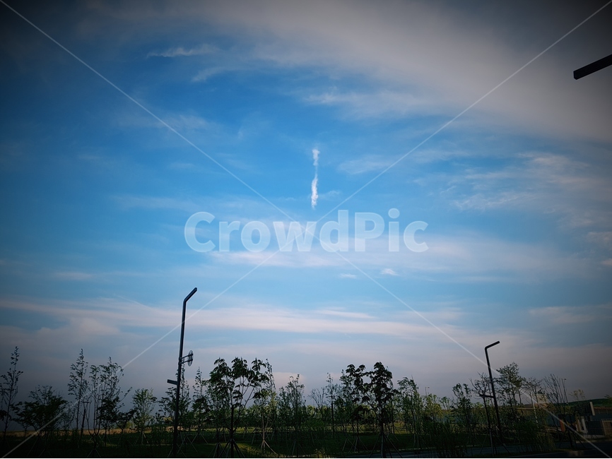하늘,파랑,흰구름,풍경,나무,자연,풍경,nature,landscape,outdoors,옥외,weather,날씨