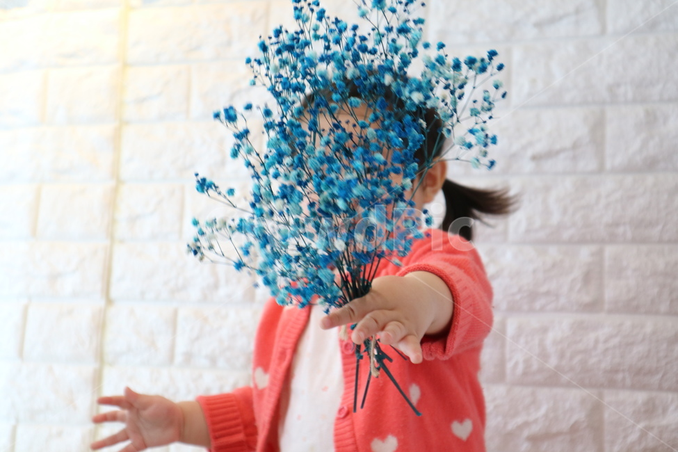 꽃,안개꽃,꽃다발,꽃을든아이,꽃선물,프로포즈,꽃,flower,사람,인물,인간,human,person,어린이,어린아이,child,children,kid