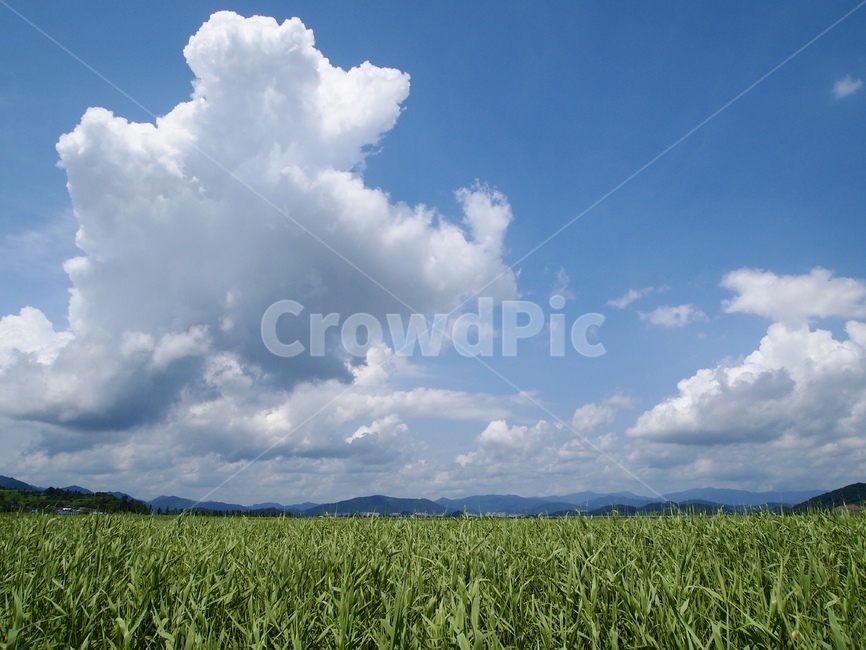 하늘,구름,풍경,초원,sky,cloud,nature,weather,한국,여름,summer,blue,green