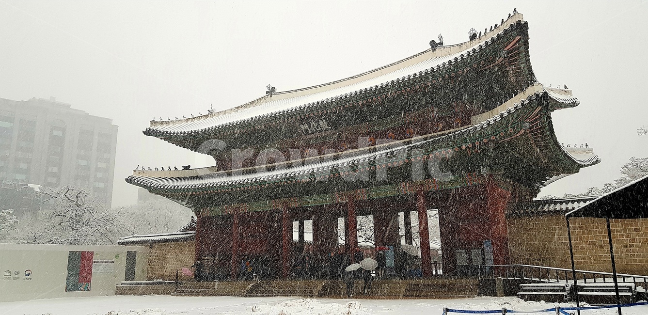 첫눈,창덕궁,고궁설경,돈화문,firstsnow,changdeokgung,겨울,계절,winter,season,한국전통,한국문화,korean traditional,korean culture,랜드마크,landmark,tourist attraction,한국랜드마크,한국관광지,한국명소,korea landmark,korea tourist attraction,건축물,건물외관,exterior,building,structure,architecture,construction