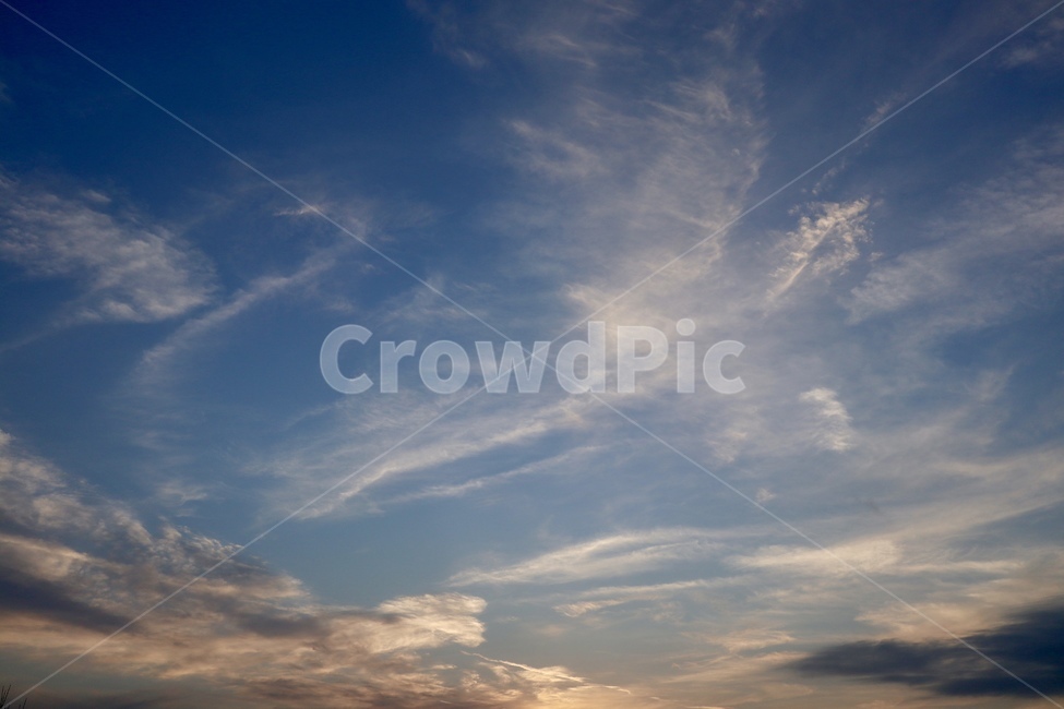 하늘,풍경,새,구름,독수리,매,자연,풍경,nature,landscape,outdoors,옥외,sky