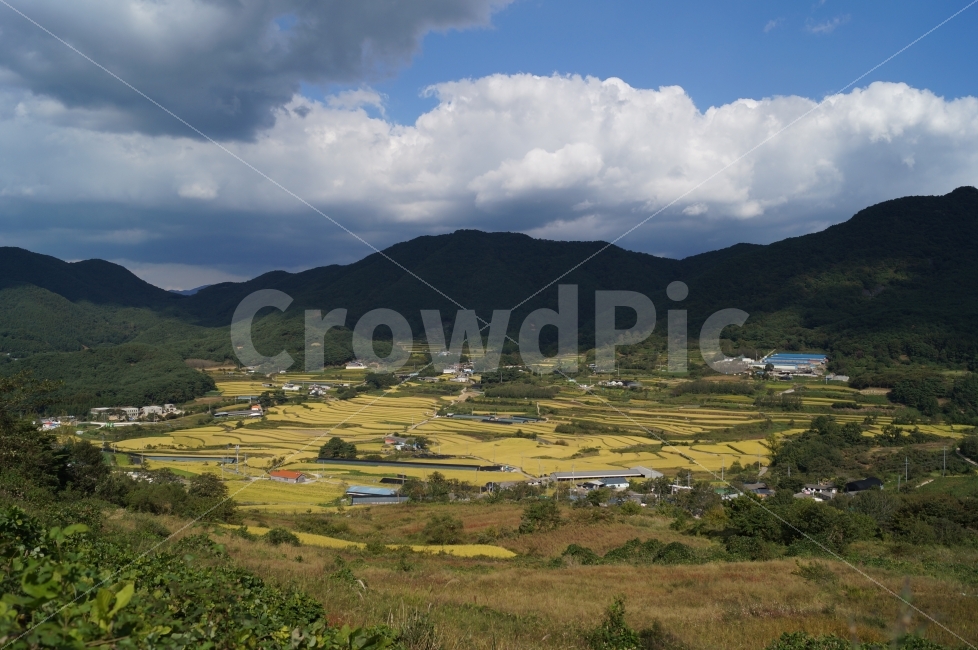 가을,농촌,마을,논,풍경,자연,풍경,nature,landscape,시골,마을,country,rural,town,outdoors,옥외