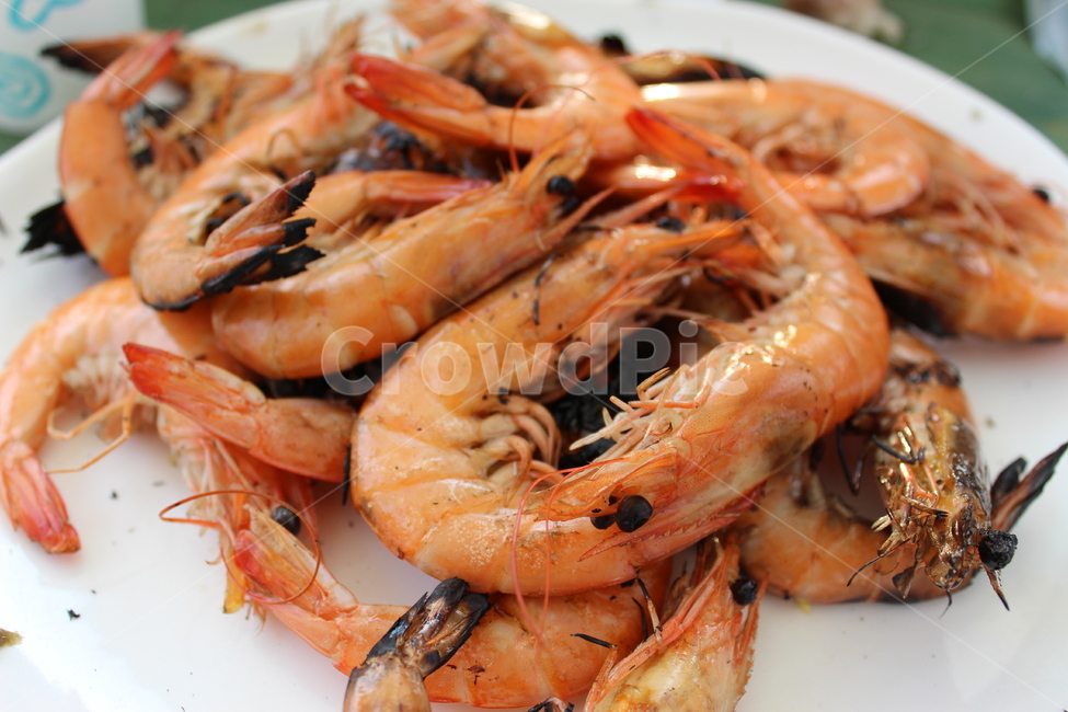대하,새우,대하소금구이,캠핑,탄,음식,식재료,요리,food,cook,meal,dishes,food reserves,수산물,해산물,fishery products,seafood