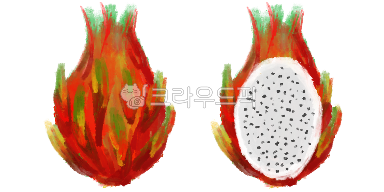 용과,dragonfruit,피타야,용과그림,용과일러스트,용과단면,과일,fruit,과일그림,과일일러스트,그림,일러스트