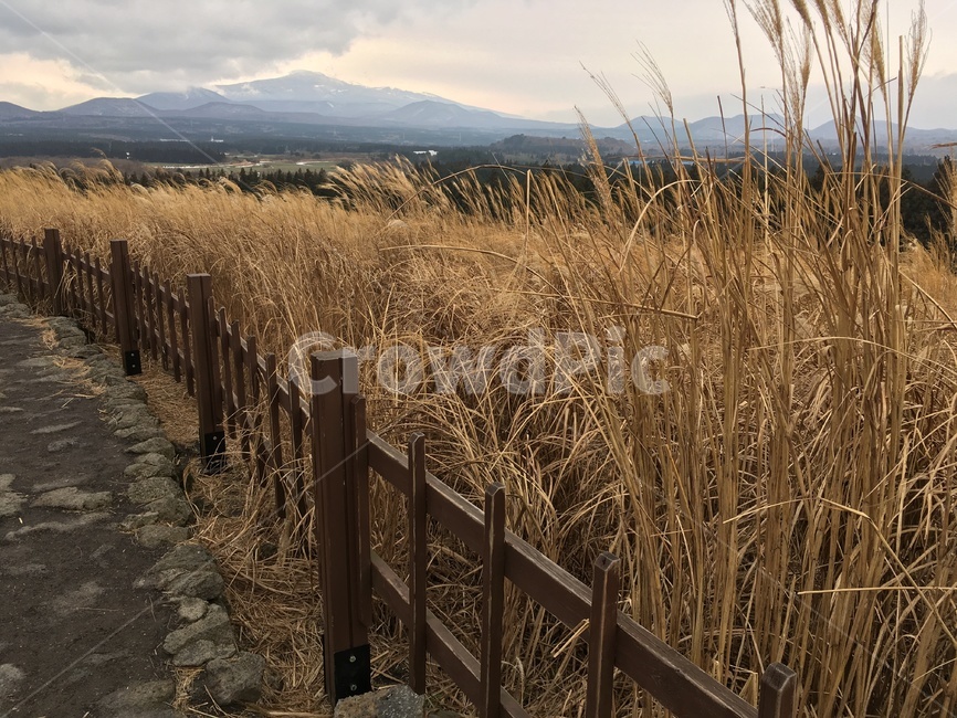 풍경,제주도,오름,산,울타리,landscape,jejudo,fence
