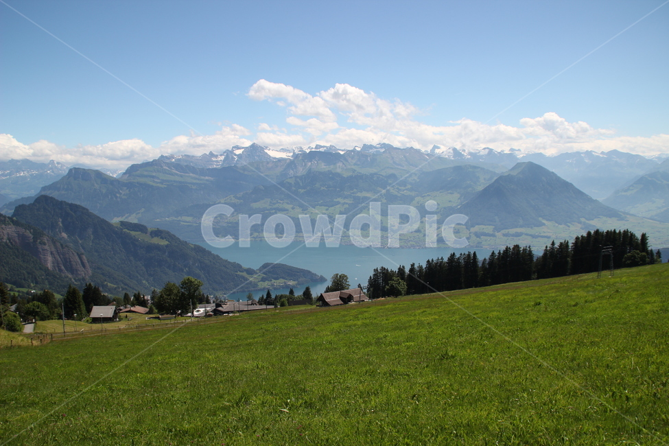 스위스,리기산,호수,swiss,rigimountain,lake,자연,풍경,nature,landscape,해외,외국,세계,foreign,oversea,world,세계자연풍경,해외자연풍경,외국자연풍경,world nature landscape,grassland,목초지,field,들,outdoors,옥외,rural,농촌,farm,농장,meadow