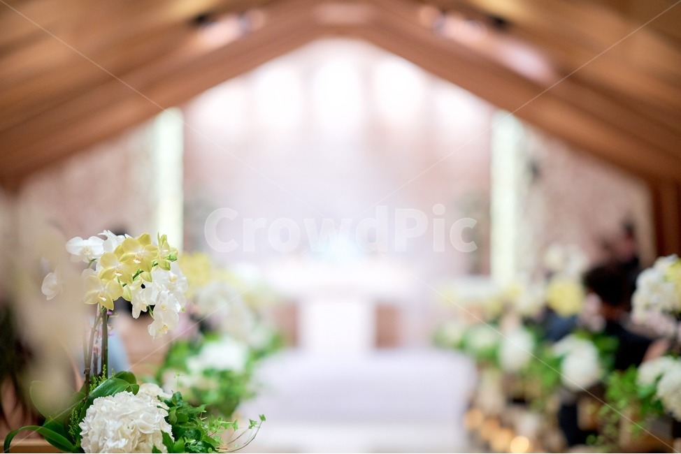 결혼식장,결혼식,예식장,버진로드,wedding,결혼,혼례,웨딩,wedding,marriage,marry