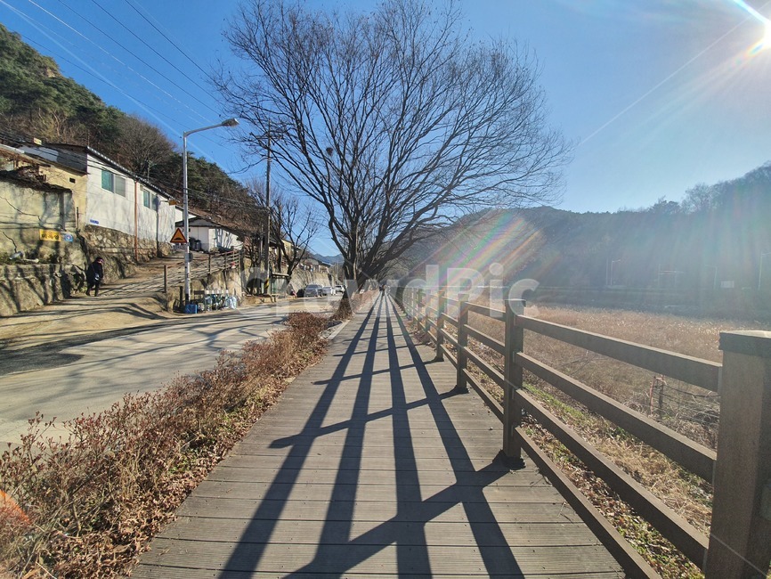 산책로,산책길,걷기,데크,휴식