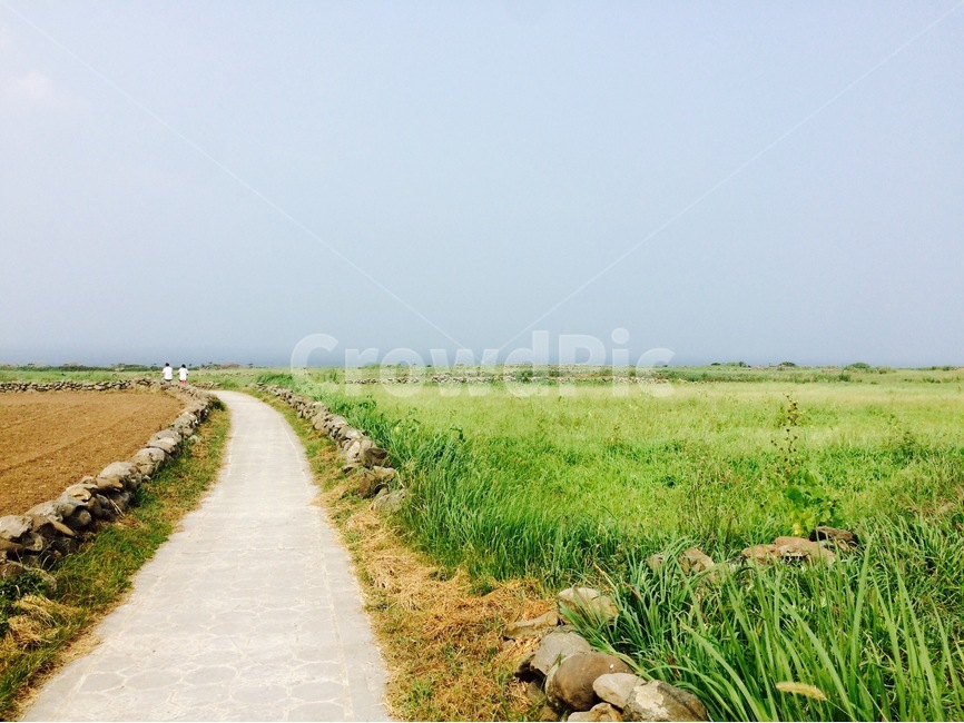 풍경,가파도,청보리길,길풍경,길,자연,풍경,nature,landscape,한국자연풍경,한국자연경관,korea nature landscape,시골,마을,country,rural,town