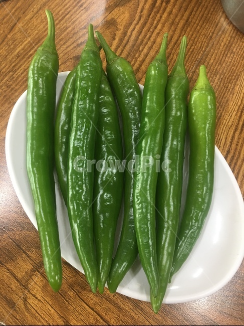 오이고추,고추,아삭이고추,pepper,채소