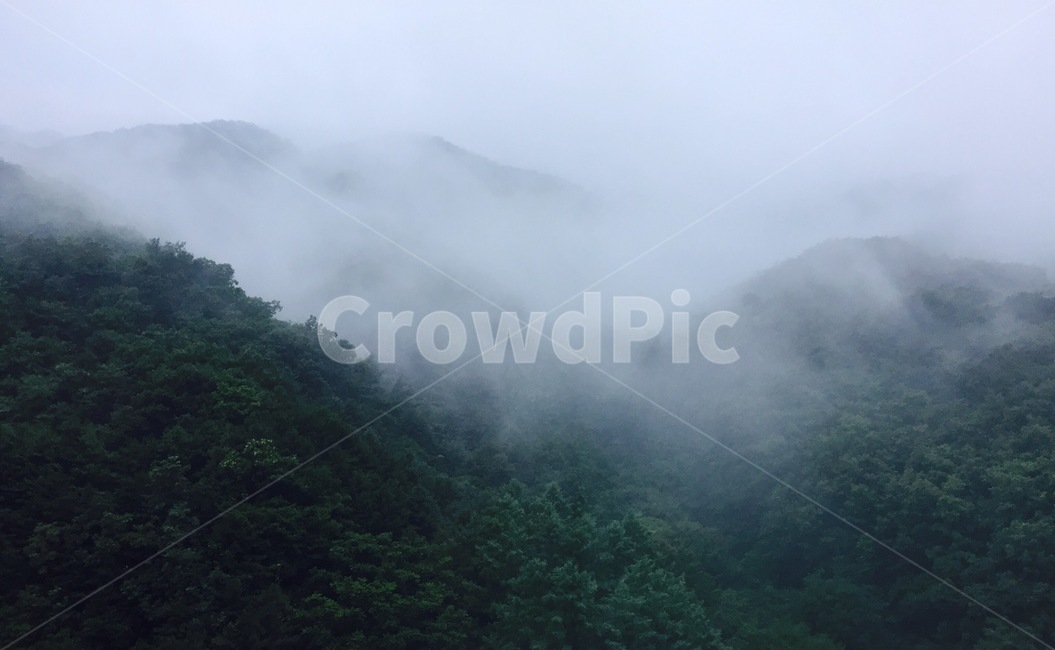 산,안개,초록색,운치,녹색