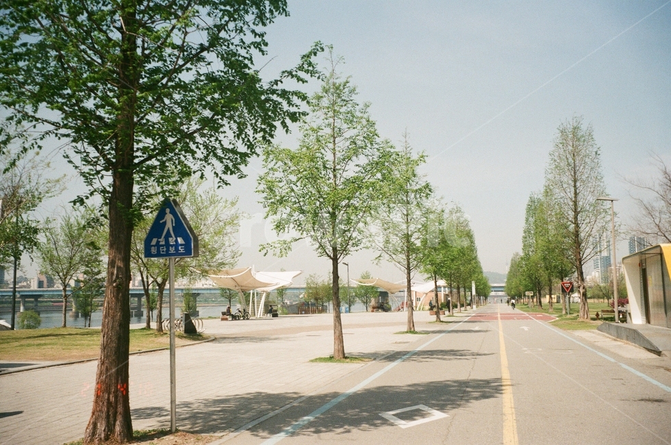 한강공원,풍경,자연,산책로,공원,색감,나무,도시,풍경,city,landscape,한국도시풍경,한국도시경관,korea cityscape,road,도로