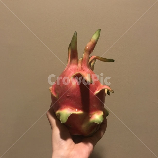 과일,용과,여행,dragonfruit,fruit,travel,과일,열매,fruit