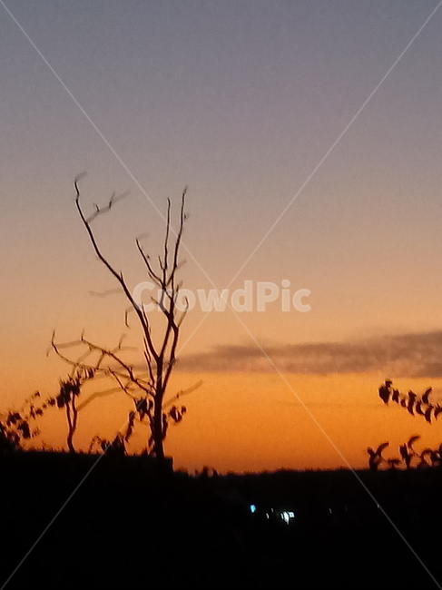 석양,노을,붉은하늘,황혼,일몰,자연,sunset,nature,sunlight,redsky,자연,풍경,nature,landscape,silhouette,실루엣,outdoors,옥외