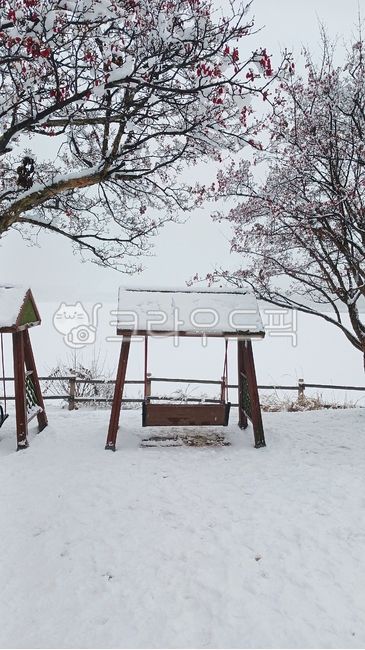 그네,그네의자,눈,설경,겨울,겨울풍경,호수공원,일산호수공원,tree,나무,snow,snowscape,winter,호수,산수유나무,ilsanlakepark